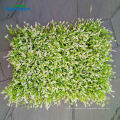 Por atacado barato plástico vertical jardim paisagem artificial grama verde parede